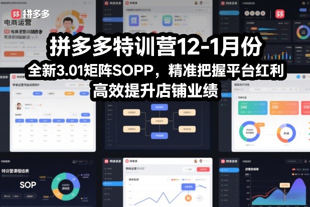 拼多多特训营12-1月份，全新3.01矩阵Sop，精准把握平台红利，高效提升店铺业绩-汉兴项目网创资源网