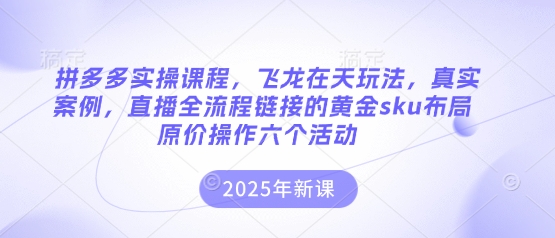 拼多多实操课程，飞龙在天玩法，真实案例，直播全流程链接的黄金sku布局原价操作六个活动-汉兴项目网创资源网