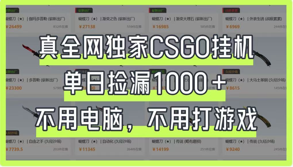真全网独家CSGO挂机,单日捡漏1000+,不用电脑,不用养号-汉兴项目网创资源网