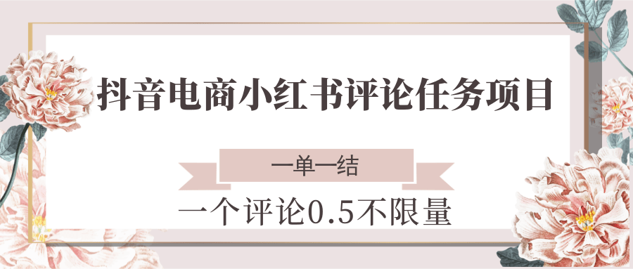 抖音电商小红书评论任务项目,一个评论0.5,一单一结 不限量-汉兴项目网创资源网