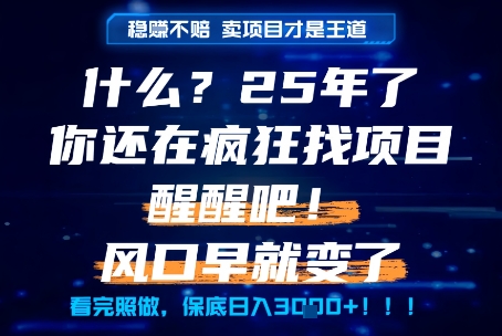 什么？25年你还在疯狂找项目做，醒醒吧，看完这些你全都懂了！【揭秘】-汉兴项目网创资源网