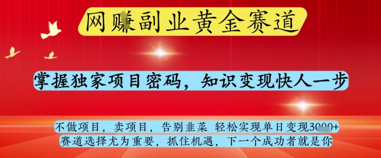 网创副业黄全赛道，掌握独家项目密码，知识变现快人一步，告别韭菜轻松实现单日变现1k+【揭秘】-汉兴项目网创资源网