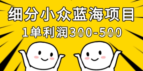 细分小众蓝海项目，一单利润3张，每月收入稳定过1w+-汉兴项目网创资源网