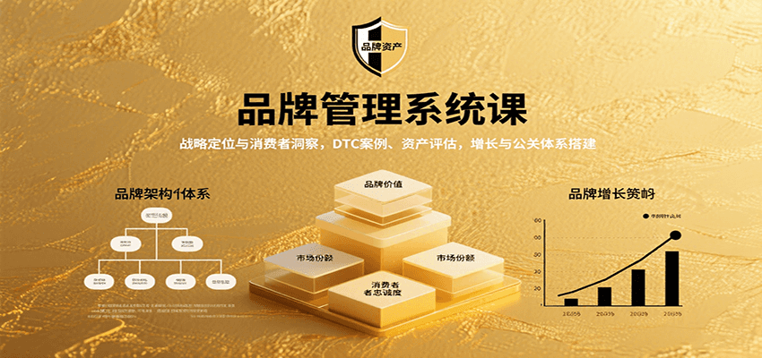 品牌管理系统课:战略定位与消费者洞察,DTC案例、资产评估,增长与公关体系搭建-汉兴项目网创资源网