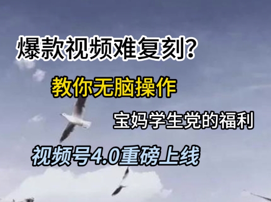 视频号4.0重磅上线，爆款视频难复刻？教你无脑操作宝妈学生党的福利【揭秘】-汉兴项目网创资源网