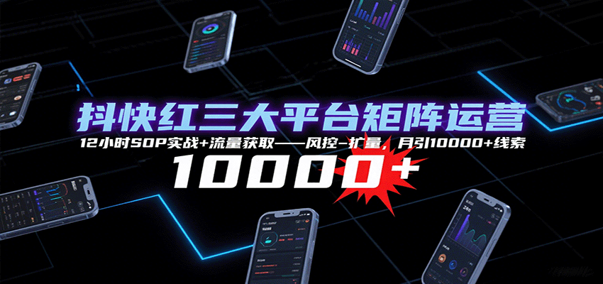 抖快红三大平台矩阵运营，12小时SOP实战+流量获取-风控-扩量，月引10000+线索-汉兴项目网创资源网