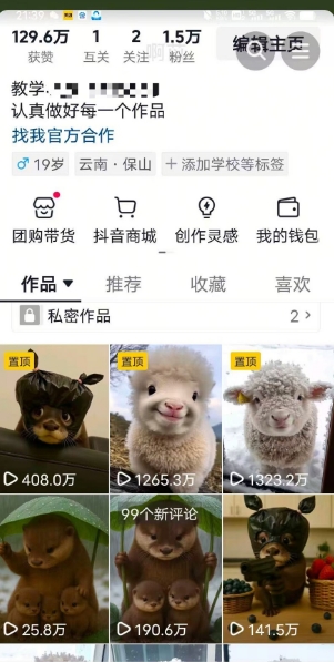 抖音65W博主AI萌宠课程，新赛道流量大，原创+二创，全套课程+提示词-汉兴项目网创资源网