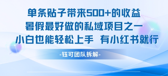 单条贴子带来5张的收益，暑假最好做的私域项目之一，小白也能轻松上手，有小红书就行-汉兴项目网创资源网
