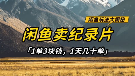 闲鱼卖纪录片1单3块钱，1天几十单，项目稳定有潜力-汉兴项目网创资源网