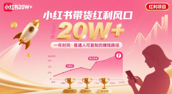 一年时间靠小红书带货项目年入20w+，最不能错的大红利项目-汉兴项目网创资源网