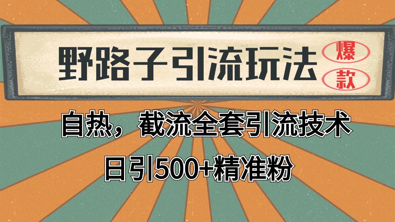 2024首发野路子引流玩法截流自热全平台打法,全自动引流【日引2000+精准客户】-汉兴项目网创资源网