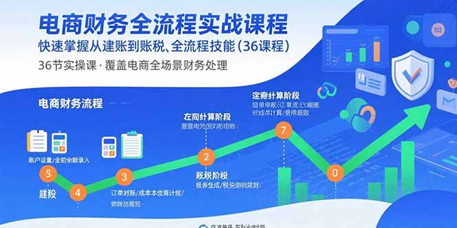 电商财务全流程实战课程：快速掌握从建账到报税的全流程技能(36节课-汉兴项目网创资源网