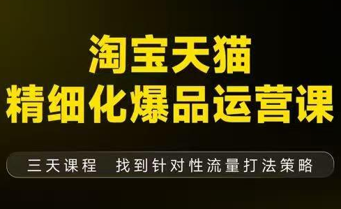 猫课子幽·淘宝天猫精细化爆品运营【音频+字幕+文档】(9月12-14杭州线下课)-汉兴项目网创资源网