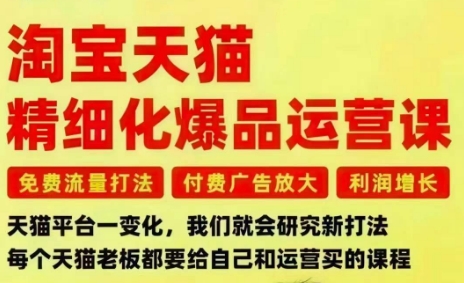 淘宝天猫精细化爆品运营课，免费流量打法-付费广告放大-利润增长-三大核心痛点，一次全部解决-汉兴项目网创资源网