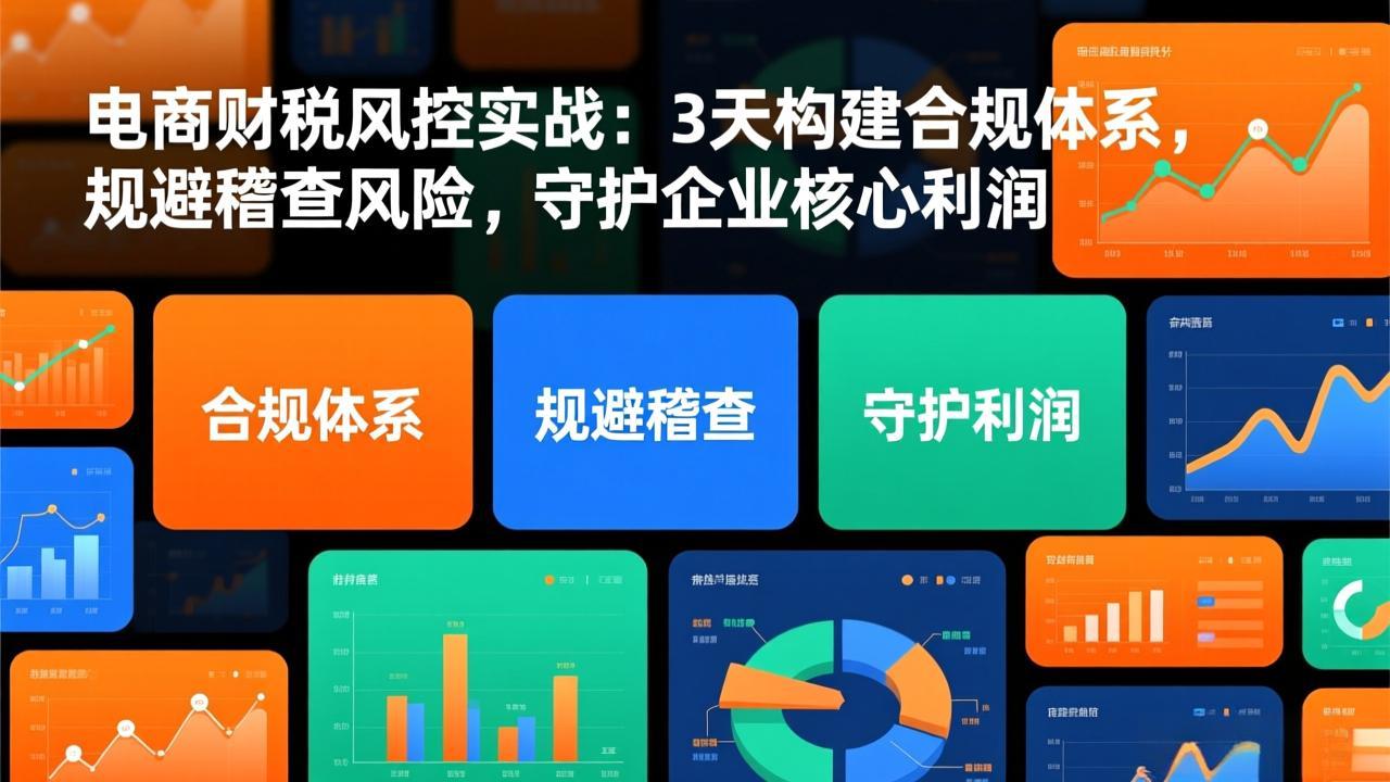 电商财税风控实战：3天构建合规体系，规避稽查风险，守护企业核心利润-汉兴项目网创资源网