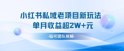 小红书私域项目新玩法，单月变现过W+-汉兴项目网创资源网
