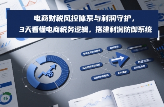 电商财税风控体系与利润守护，3天看懂电商税务逻辑，搭建利润防御系统-汉兴项目网创资源网