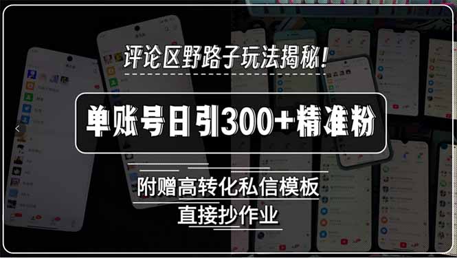 评论区野路子玩法揭秘！单账号日引300+精准粉，附赠高转化私信模板，直…-汉兴项目网创资源网
