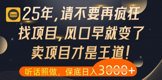什么？25年你还在疯狂找项目做，醒醒吧，看完这些你全都懂了【揭秘】-汉兴项目网创资源网