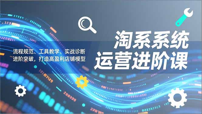 淘系系统运营进阶课2.0，流程规范、工具教学、实战诊断，进阶突破，打造高盈利店铺模型-汉兴项目网创资源网
