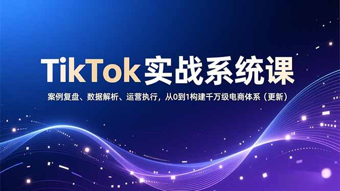 TikTok实战系统课，案例复盘、数据解析、运营执行，从0到1构建千万级电商体系(更新-汉兴项目网创资源网