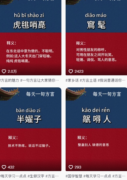 抖音最新涨粉玩法，图文方言暴力涨粉实操，126作品涨粉11W-汉兴项目网创资源网