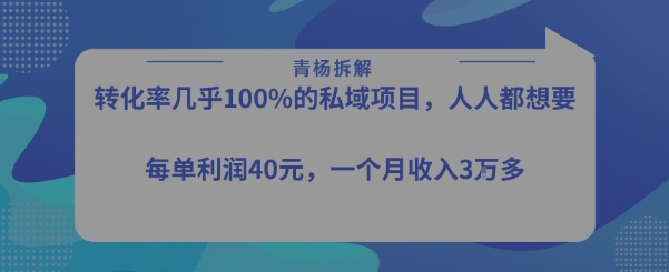 转化率最高的私域项目，每单利润40-50米，月入过1w-汉兴项目网创资源网