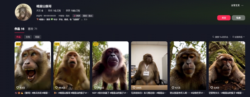 最新爆火的峨眉山猴子短视频制作教程，条条点赞10w+，谁做谁火【教程+提示词】-汉兴项目网创资源网