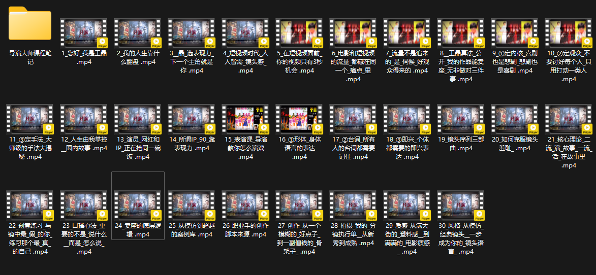 王晶大师课：流量破局-人生由我掌控-汉兴项目网创资源网