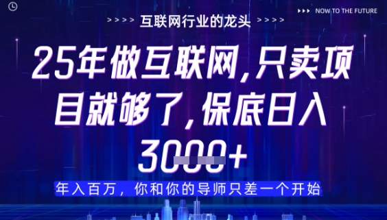 什么！25年你还在找项目做？风口早就变了，卖项目才是稳挣不赔【揭秘】-汉兴项目网创资源网