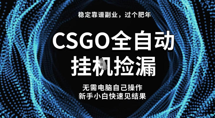 【稳定副业】全球最热门游戏CSGO全自动捡漏，最新玩法，新手小白日入5张+【揭秘】-汉兴项目网创资源网