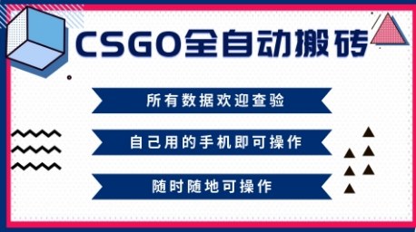 CSGO全自动搬砖，年底钱回家好项目，当天可拿到结果，新手小白轻松月入1W+【揭秘】-汉兴项目网创资源网