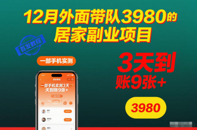 12月外面带队3980的居家副业项目,一部手机实测3天到账9张+,首发教程【揭秘】-汉兴项目网创资源网