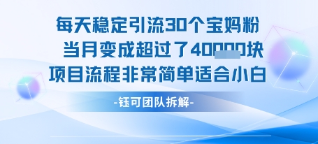 每天稳定引流30个人 当月变成超过了4个W项目流程非常简单适合小白-汉兴项目网创资源网