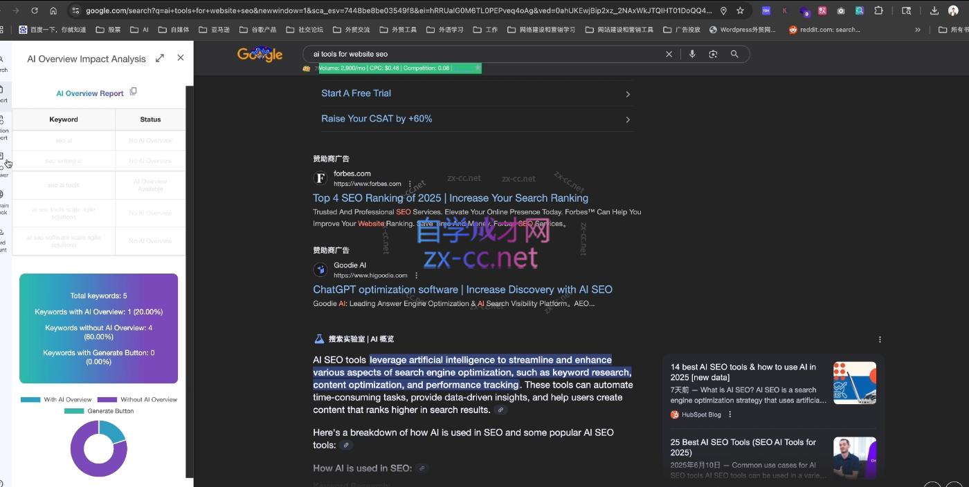 大卫·2025谷歌SEO流量打造课(更新11月)-汉兴项目网创资源网