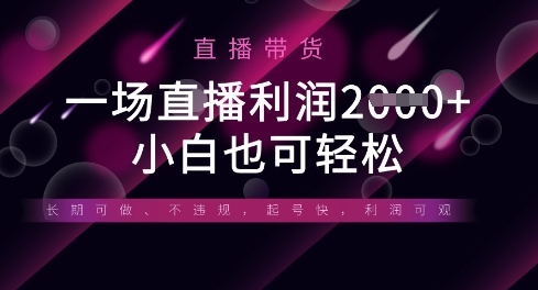 半无人直播带货，一场利润数张，适合所有平台玩法，小白也可轻松-汉兴项目网创资源网