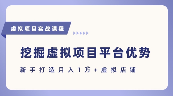 抓住虚拟项目各平台优势，新手轻松月入1W+(给出具体建议)-汉兴项目网创资源网
