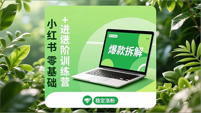 小红书零基础+高阶训练营：安全养号、爆款拆解、长效运营，实现稳定涨粉与变现-汉兴项目网创资源网