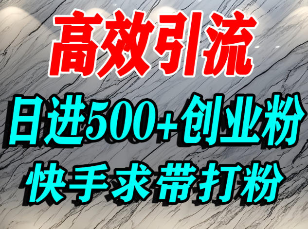 怎么打创业粉？快手求带视角精准引流创业粉，宝妈、学生群体日进500+精准流量-汉兴项目网创资源网