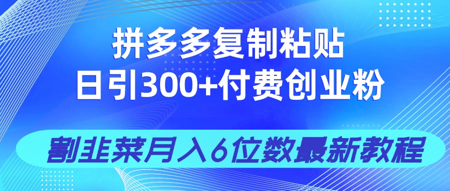 拼多多复制粘贴日引300+付费创业粉，割韭菜月入6位数最新教程！-汉兴项目网创资源网