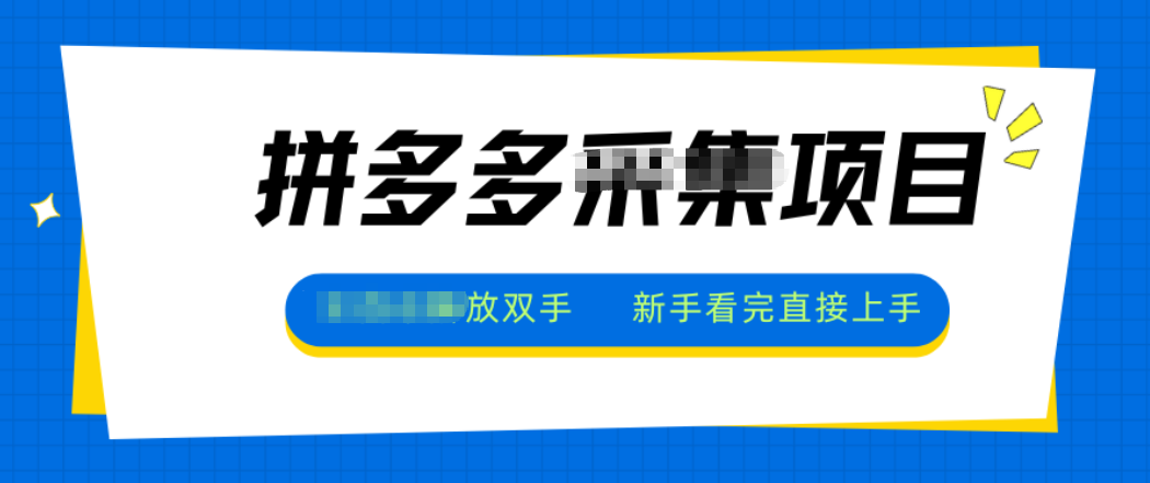 拼多多电商采集,一小时50+,操作简单,零投资-汉兴项目网创资源网