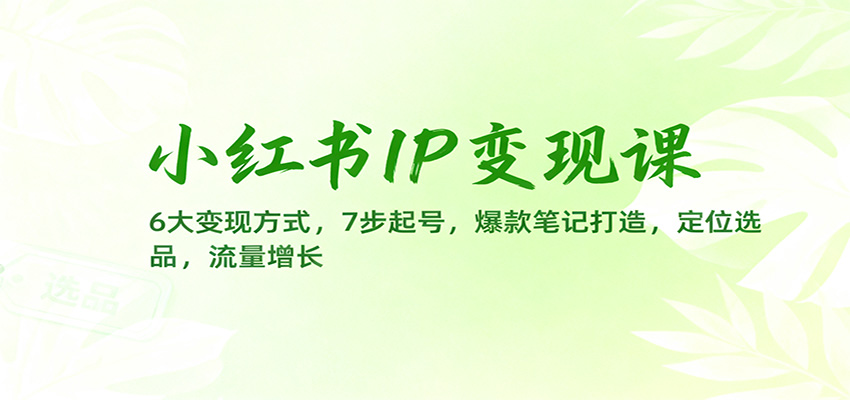小红书IP变现课:6大变现方式,7步起号,爆款笔记打造,定位选品,流量增长-汉兴项目网创资源网