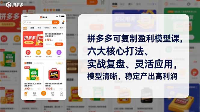 拼多多可复制盈利模型课，六大核心打法、实战复盘、灵活应用，模型清晰，稳定产出高利润-汉兴项目网创资源网