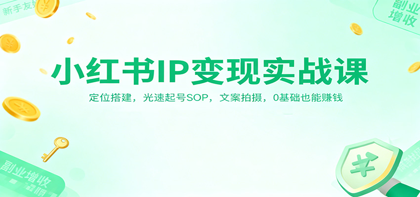 小红书IP变现实战课：定位搭建，光速起号SOP，文案拍摄，0基础也能赚钱-汉兴项目网创资源网