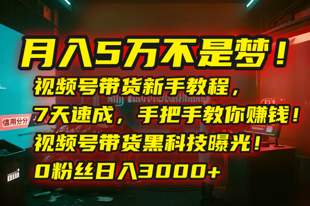 月入5万不是梦！视频号带货新手教程，7天速成，手把手教你赚钱！视频号...-汉兴项目网创资源网