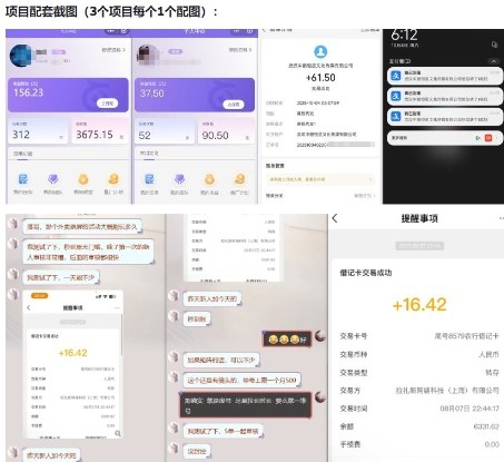 当天能收益的3个小项目拆解_包括平台+操作流程-汉兴项目网创资源网