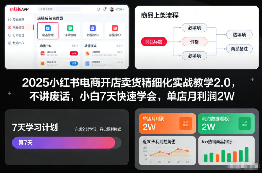 2025小红书电商开店卖货精细化实战教学2.0,不讲废话,小白7天快速学会,单店月利润2W-汉兴项目网创资源网