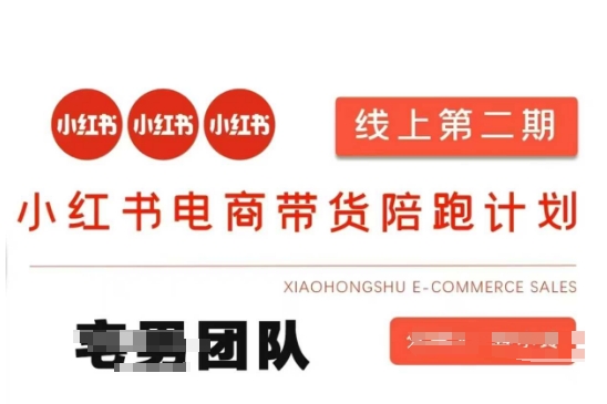 小红书电商带货课2期，月利润20个的小红书电商的有货源，无货源，虚拟产品，付费投流等整套玩法-汉兴项目网创资源网