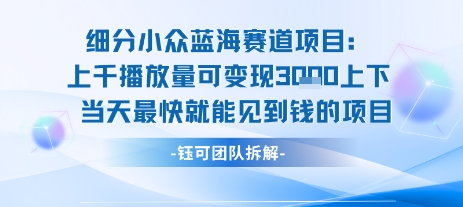 小众蓝海赛道项目：当天变现1k+适合新手操作 +适合长期玩-汉兴项目网创资源网