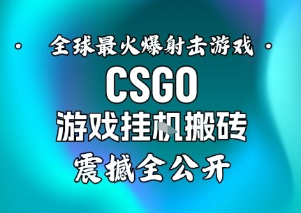 【年底大揭秘】基于全球最火爆的射击CSGO游戏挂G搬砖,日入5张+,震撼公开-汉兴项目网创资源网